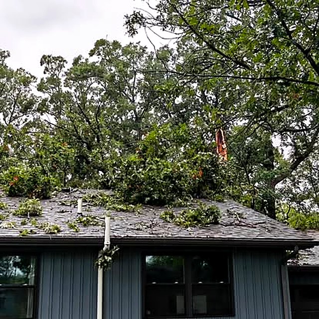 Leafy limbs strewn across the shingled roof of a house after a storm, a freshly snapped limb stub hanging in the tree above