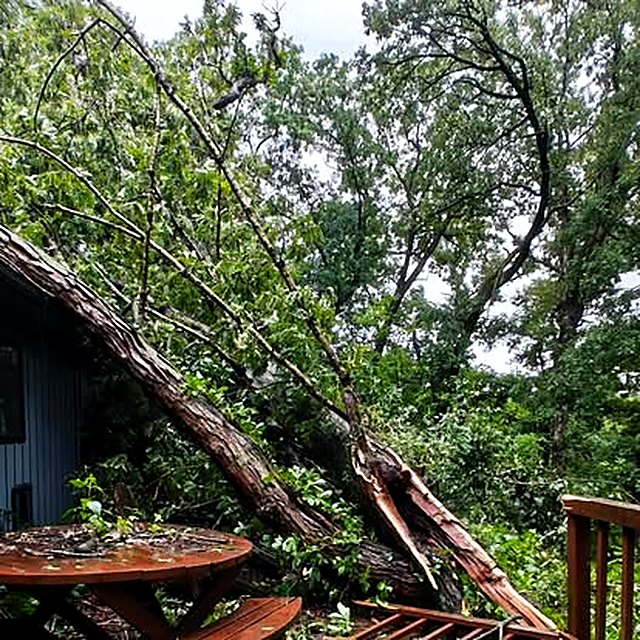 A large trunk snapped clean through and fallen across a deck against the side of a house, splintered break in the foreground
