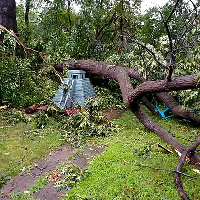 A back yard buried in storm debris, a big trunk sprawled across the lawn beside a damaged garden structure