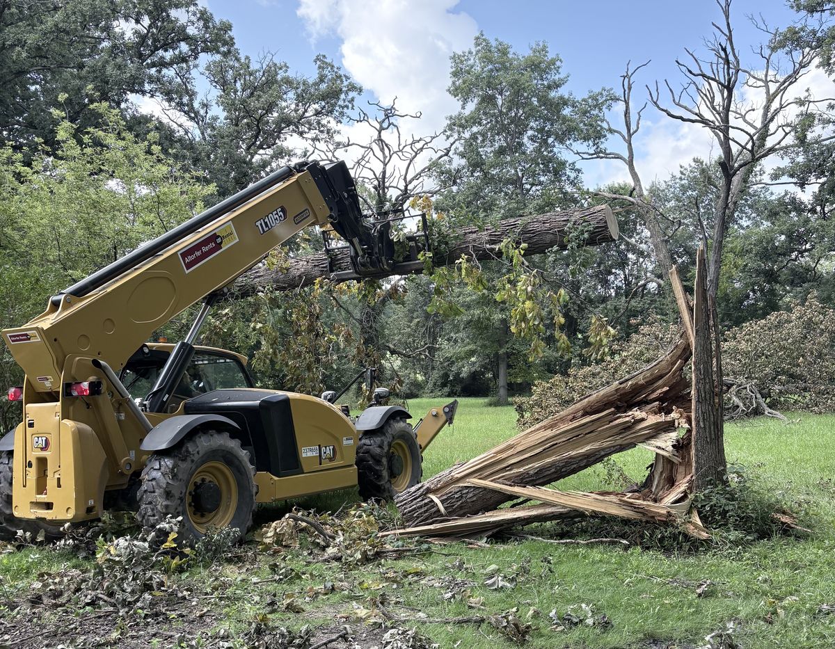Telehandler lifting a large snapped tree trunk clear of the ground so it can be hauled off the property