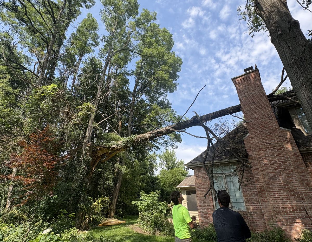 Tree Rats crew member standing with a homeowner, both looking up at a broken limb resting on the roof