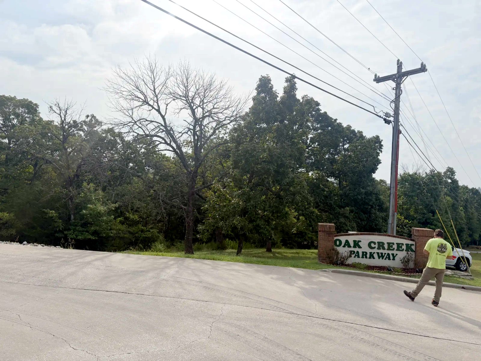 The Oak Creek Parkway entrance before work started: a dead, bare-limbed tree standing over the sign and the power lines
